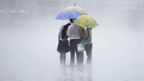 夢見突然下大雨|梦见突然下大雨是什么意思